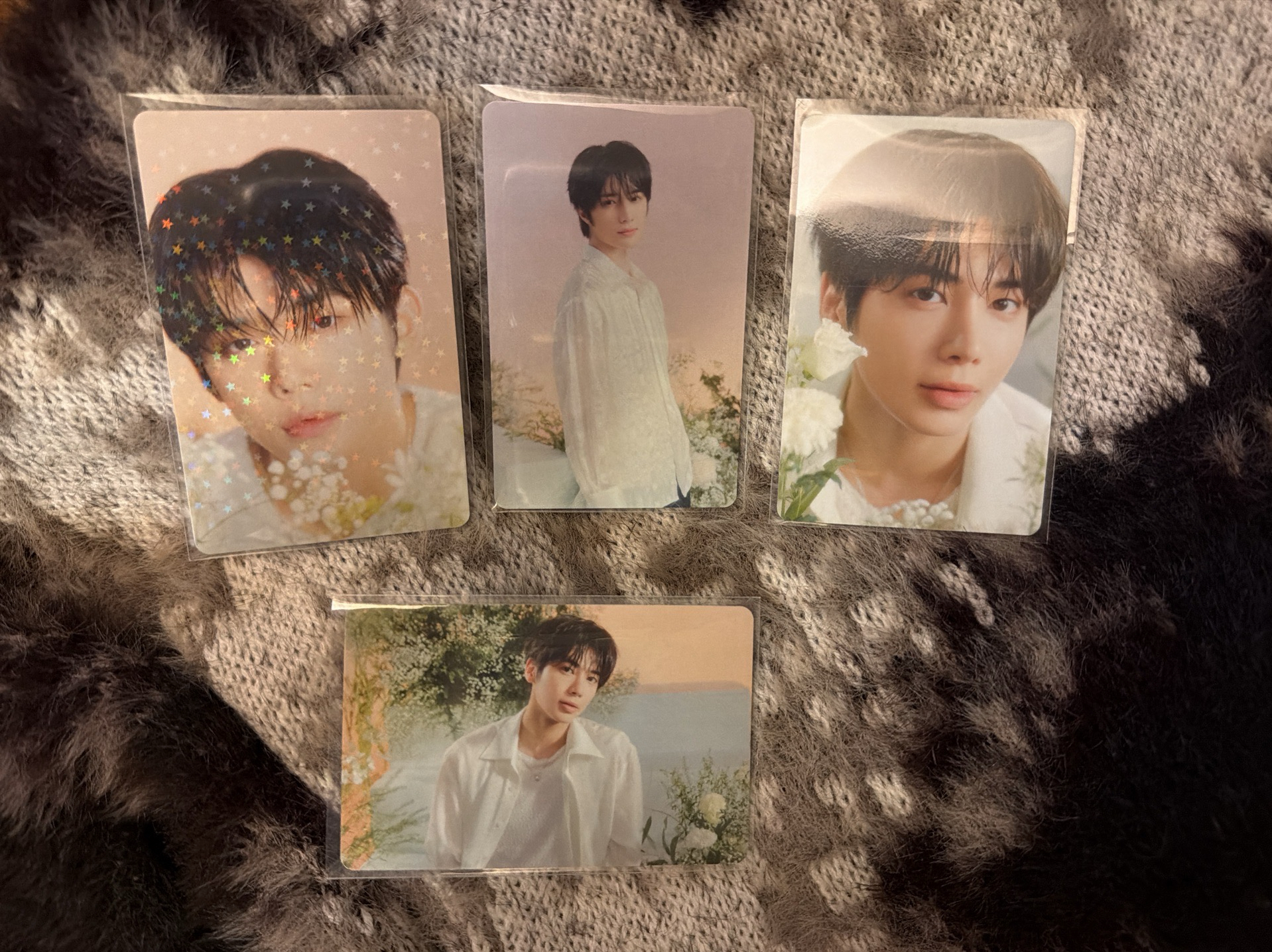 25’巡迴 日巡 隨機卡