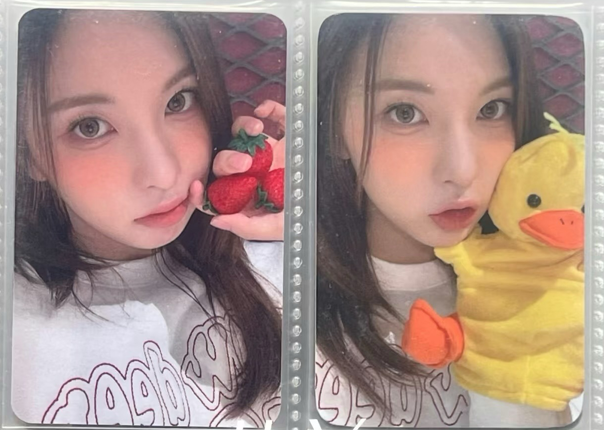 一起收 草莓+鴨子裴