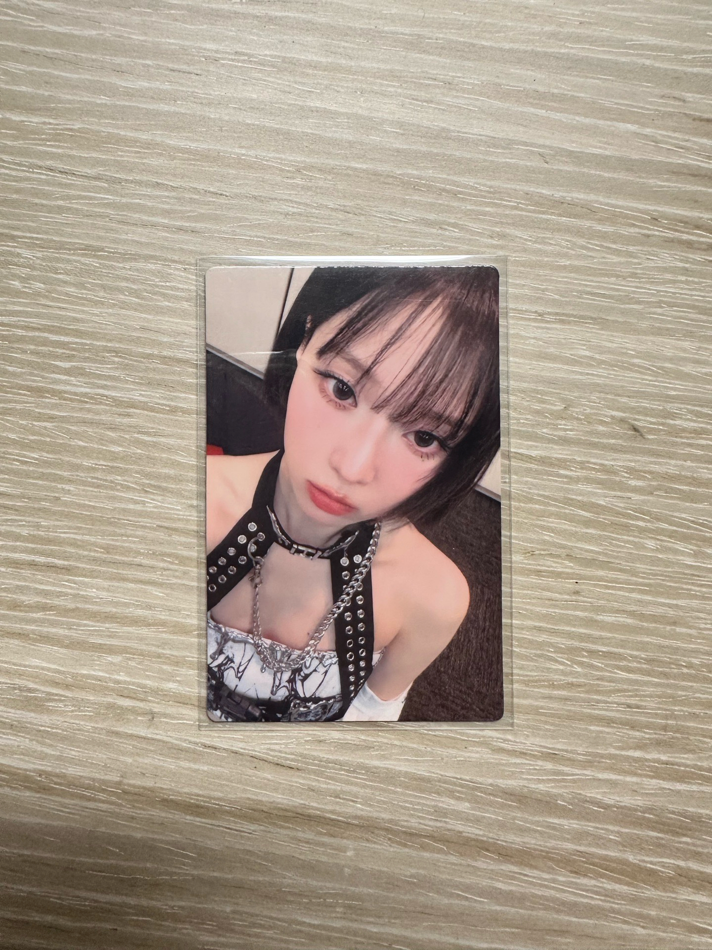 winter potd廣州展會 超級會員卡冬