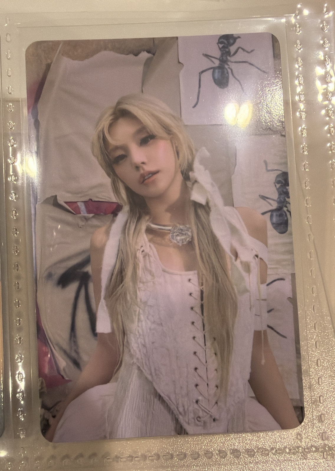 電子專 專卡 禮志