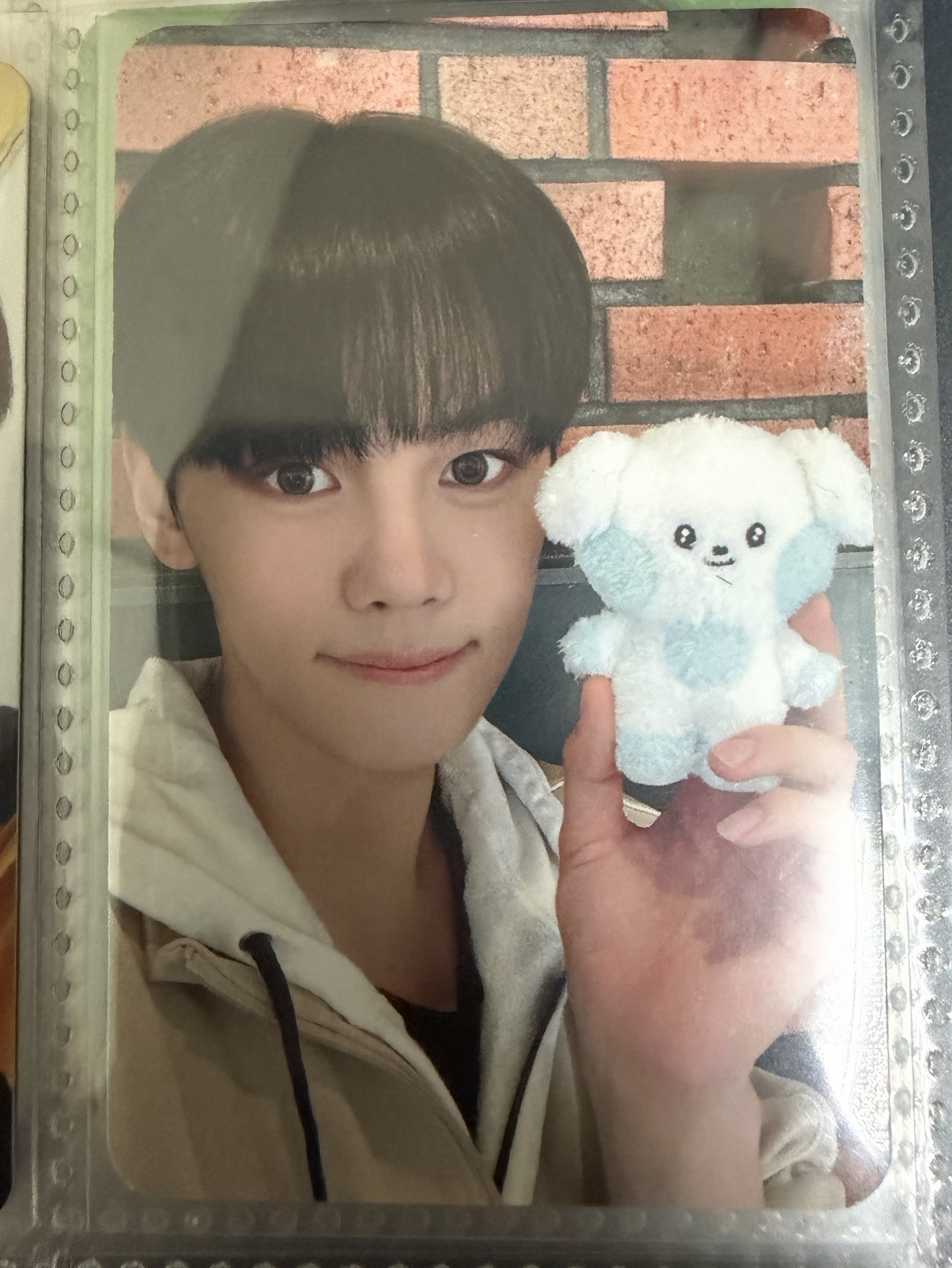 金奎彬 ZERONI快閃盒娃卡