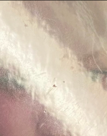 倫敦滿額肉一套