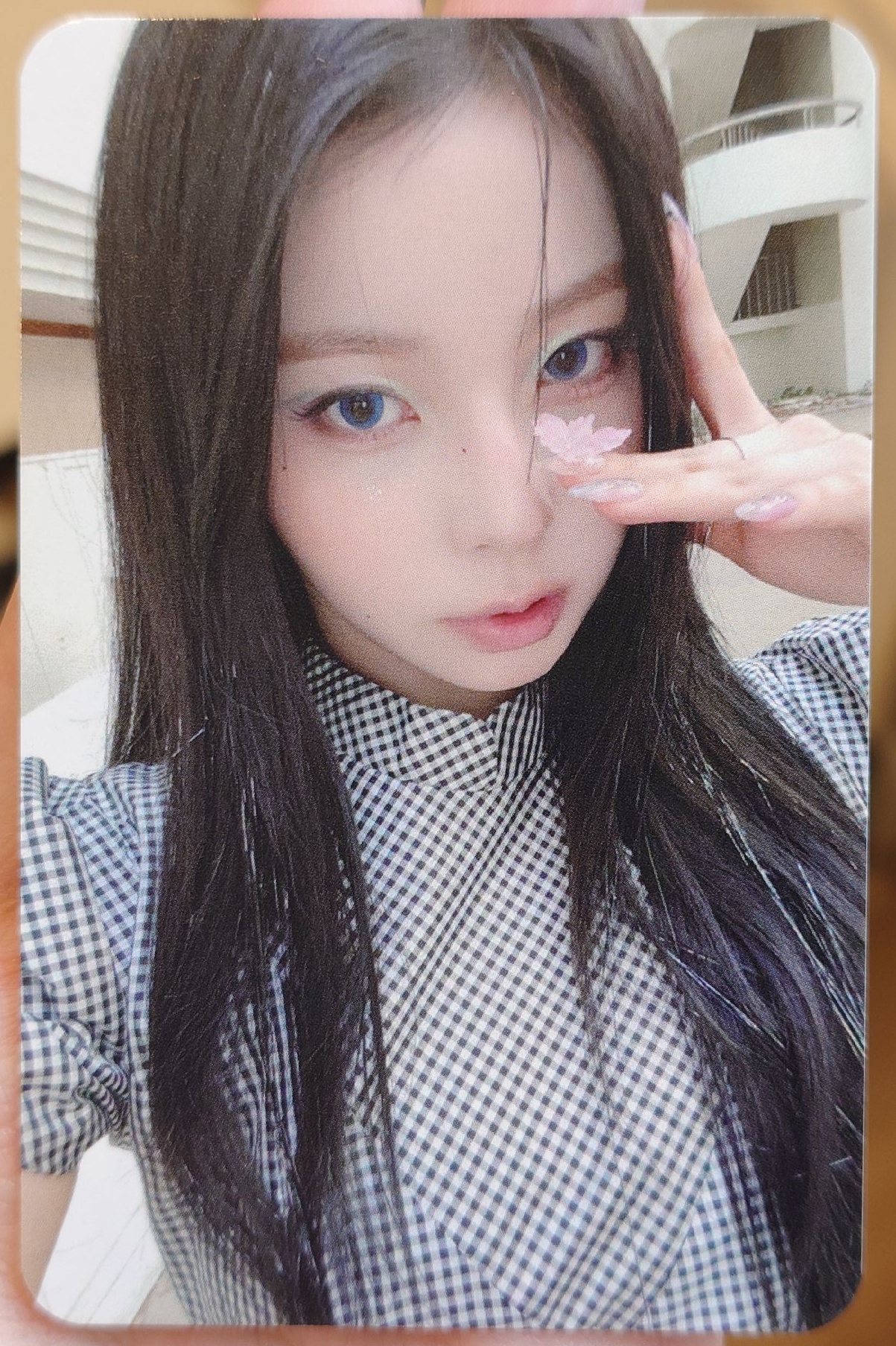 正規一 數星星預售 嫄友圭