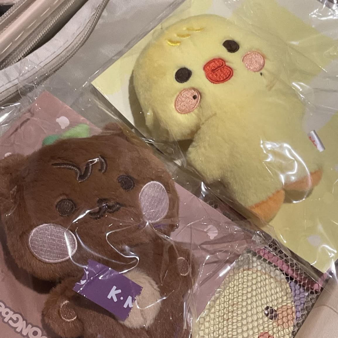 ANITEEZ 豆豆眼蹦旼/豆豆眼鍾貝爾