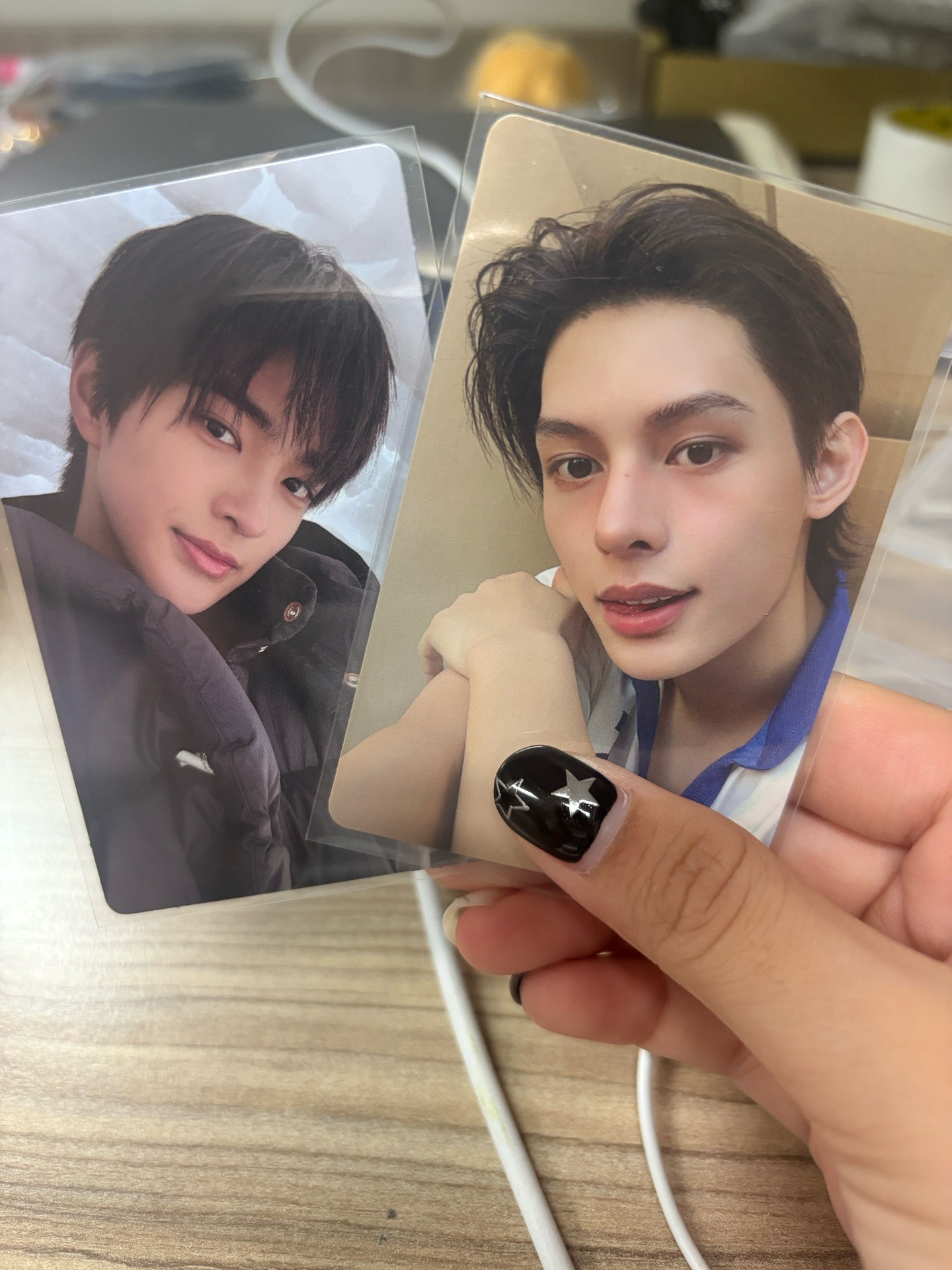 雪地鎬  環球凡