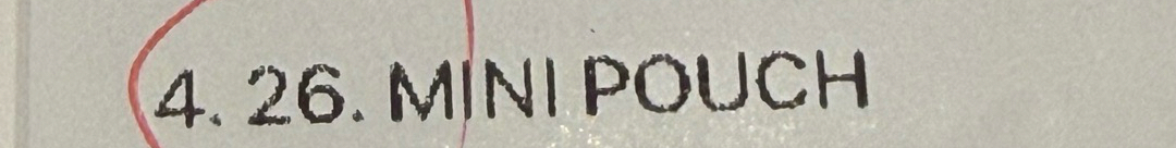 GD mini pouch