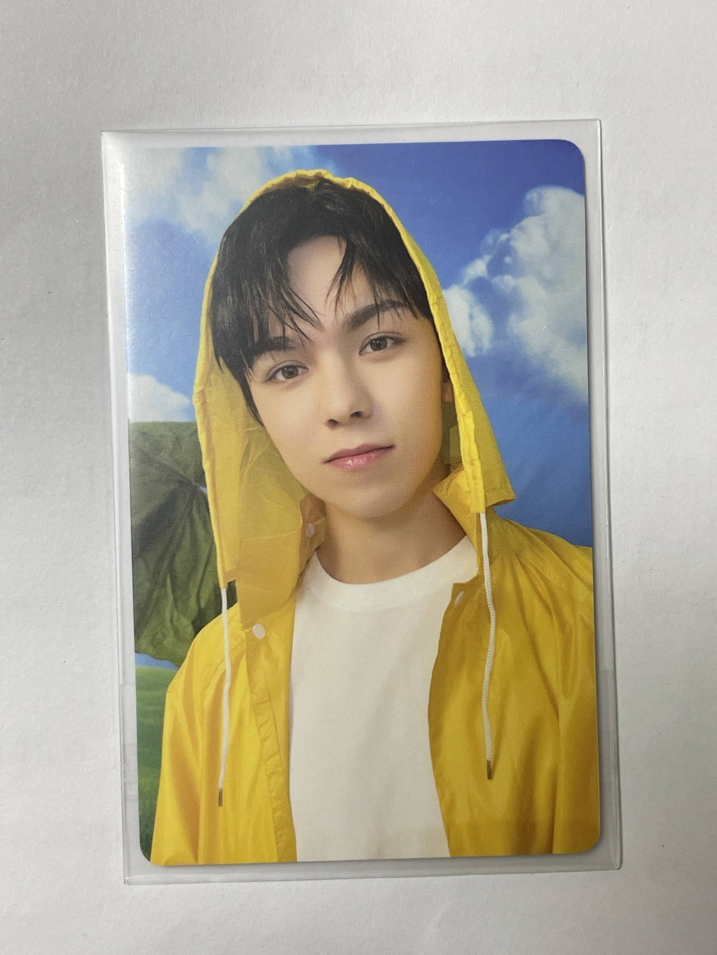 MINI11｜克拉盤卡｜JOSHUA、WONWOO、VERNON