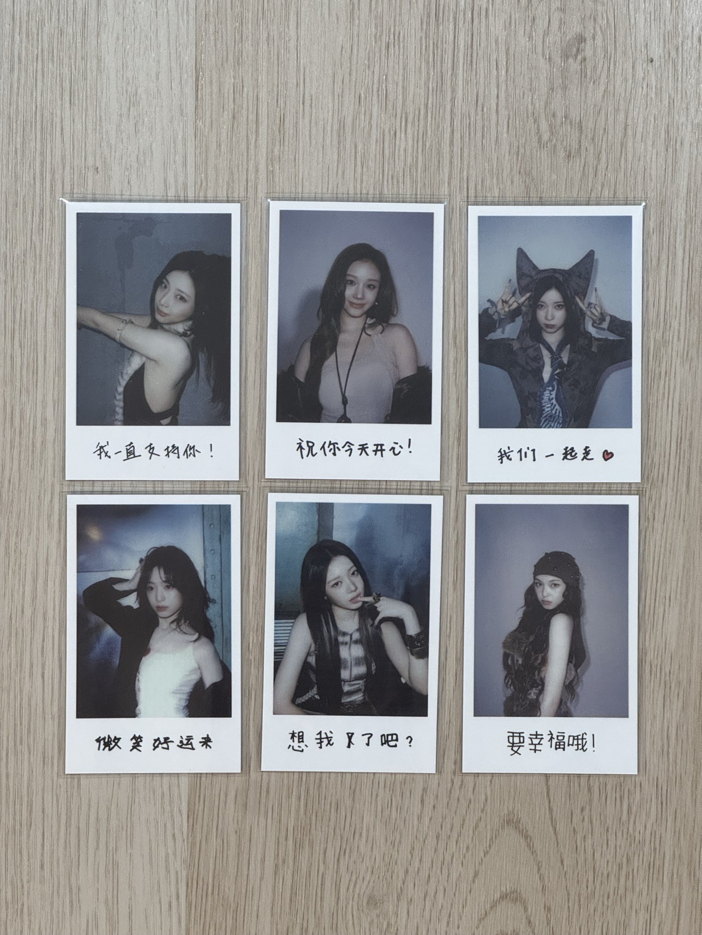 WVS中區 中文卡背