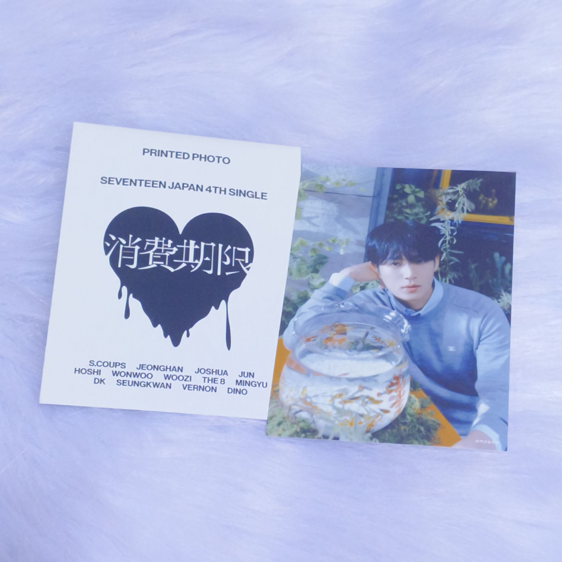 奎x消費期限|照片組生寫🩵