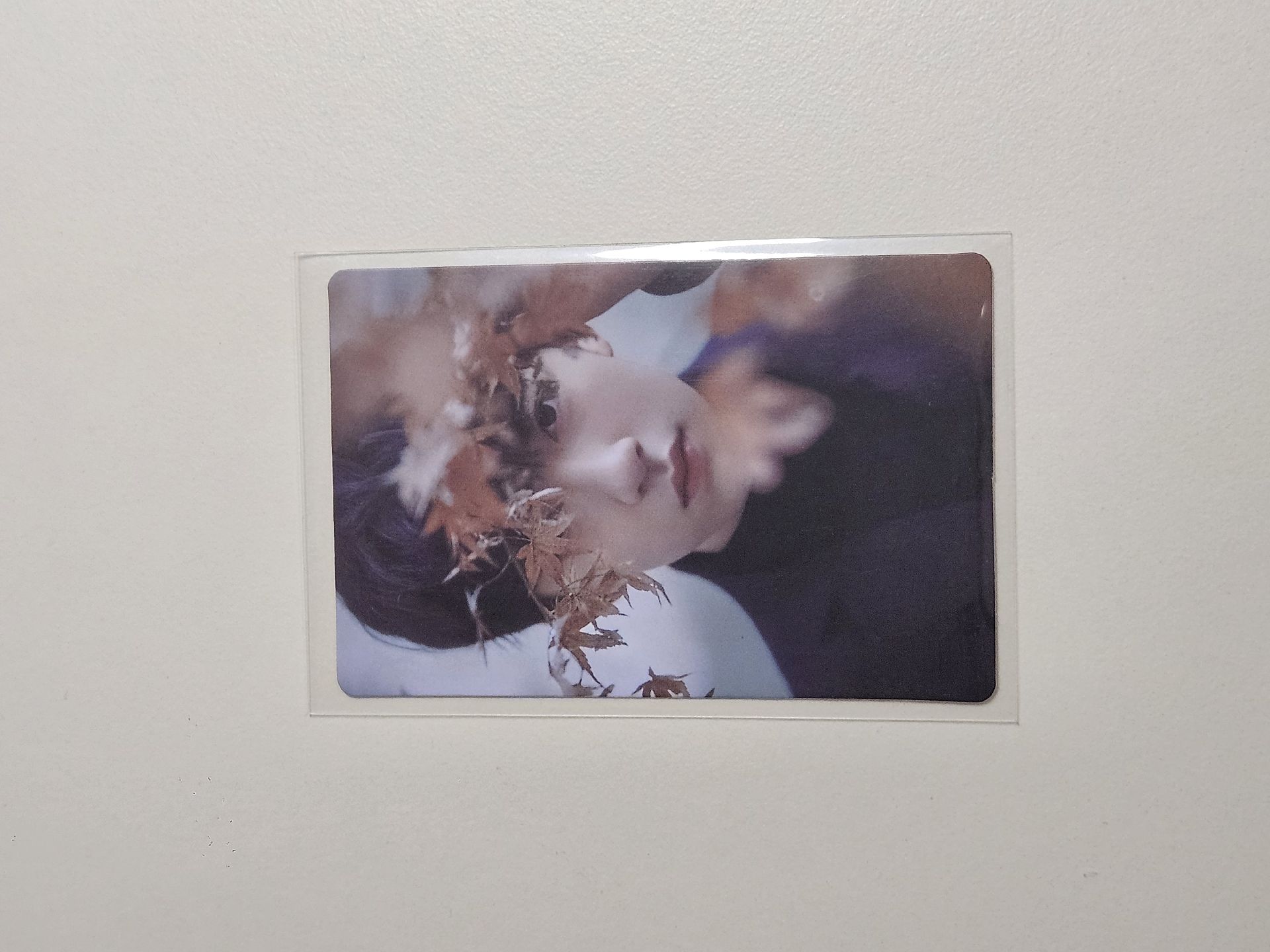 賀峻霖 | 一代應援棒