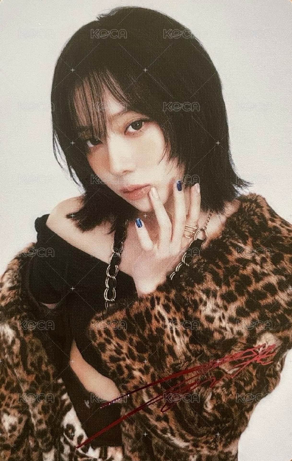 【現貨】三巡日場隨機卡 冬印簽