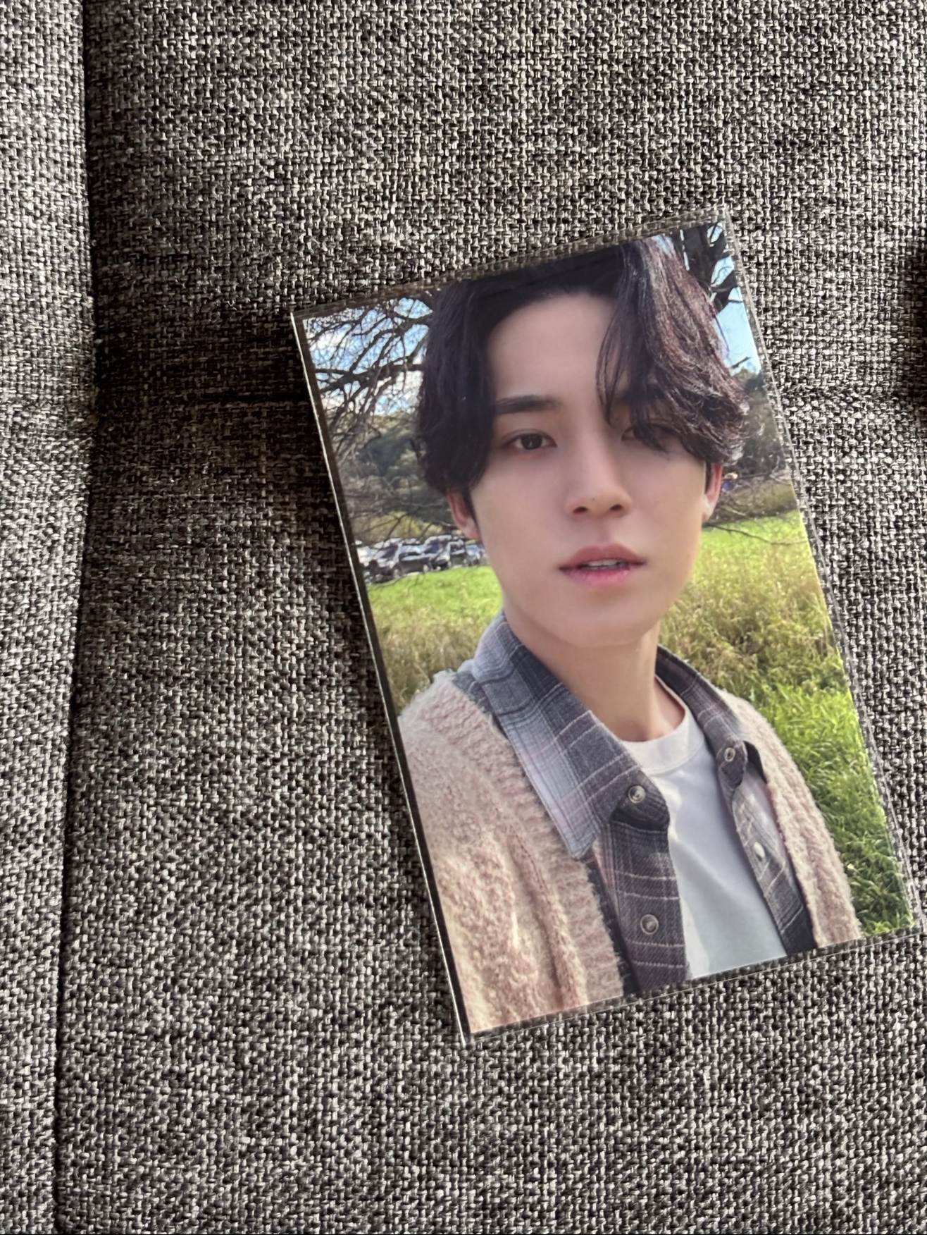 💚日專場限-奎