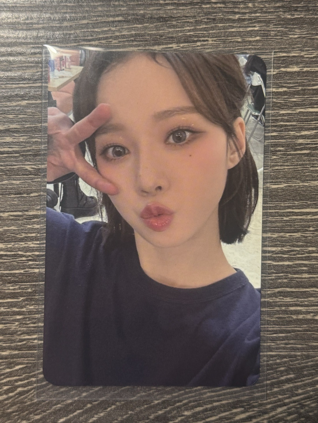 My world k4特典卡 預售小樹杈冬✅