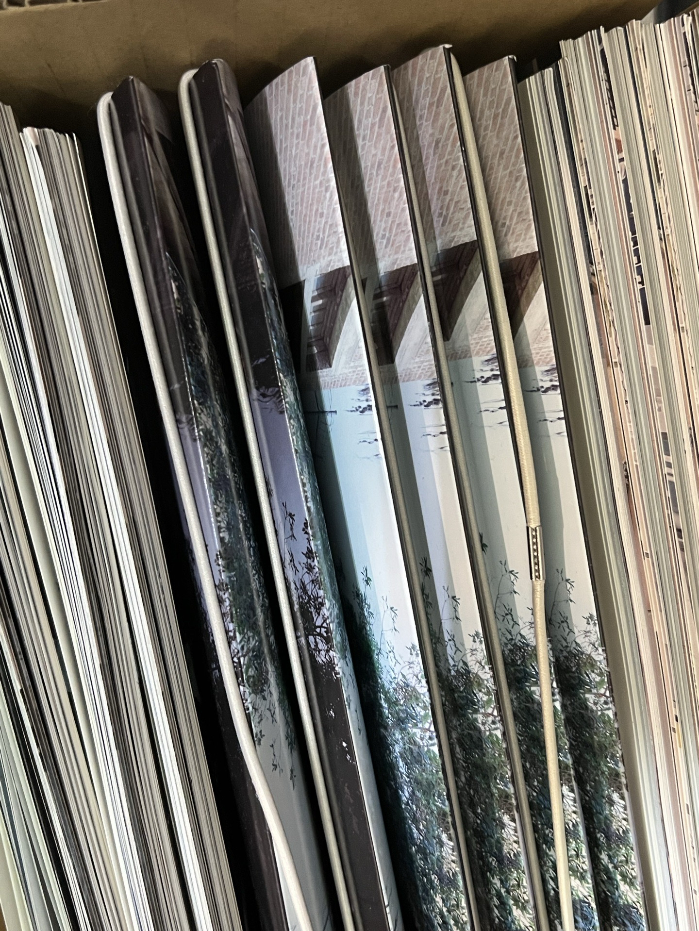 cortis 迷一空專/未拆專