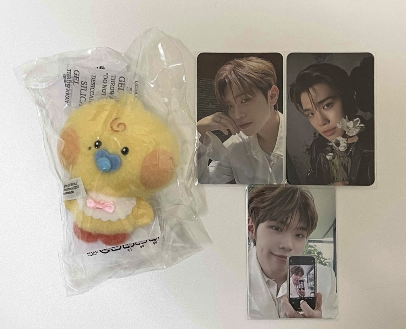 ZERONI 寶寶系列 雄、來