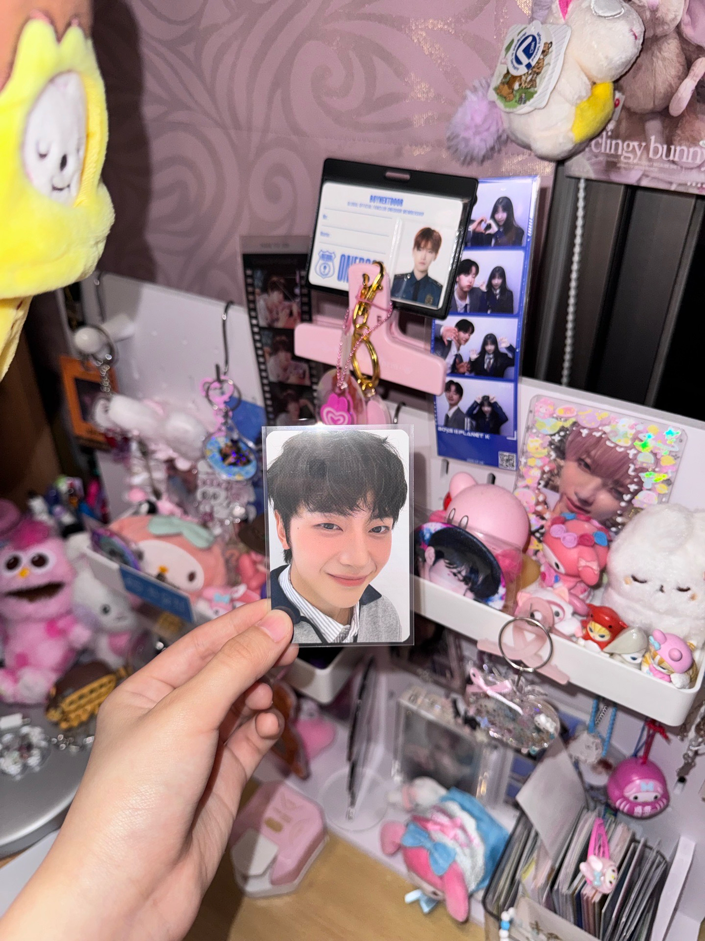 石馬修colorgram小卡