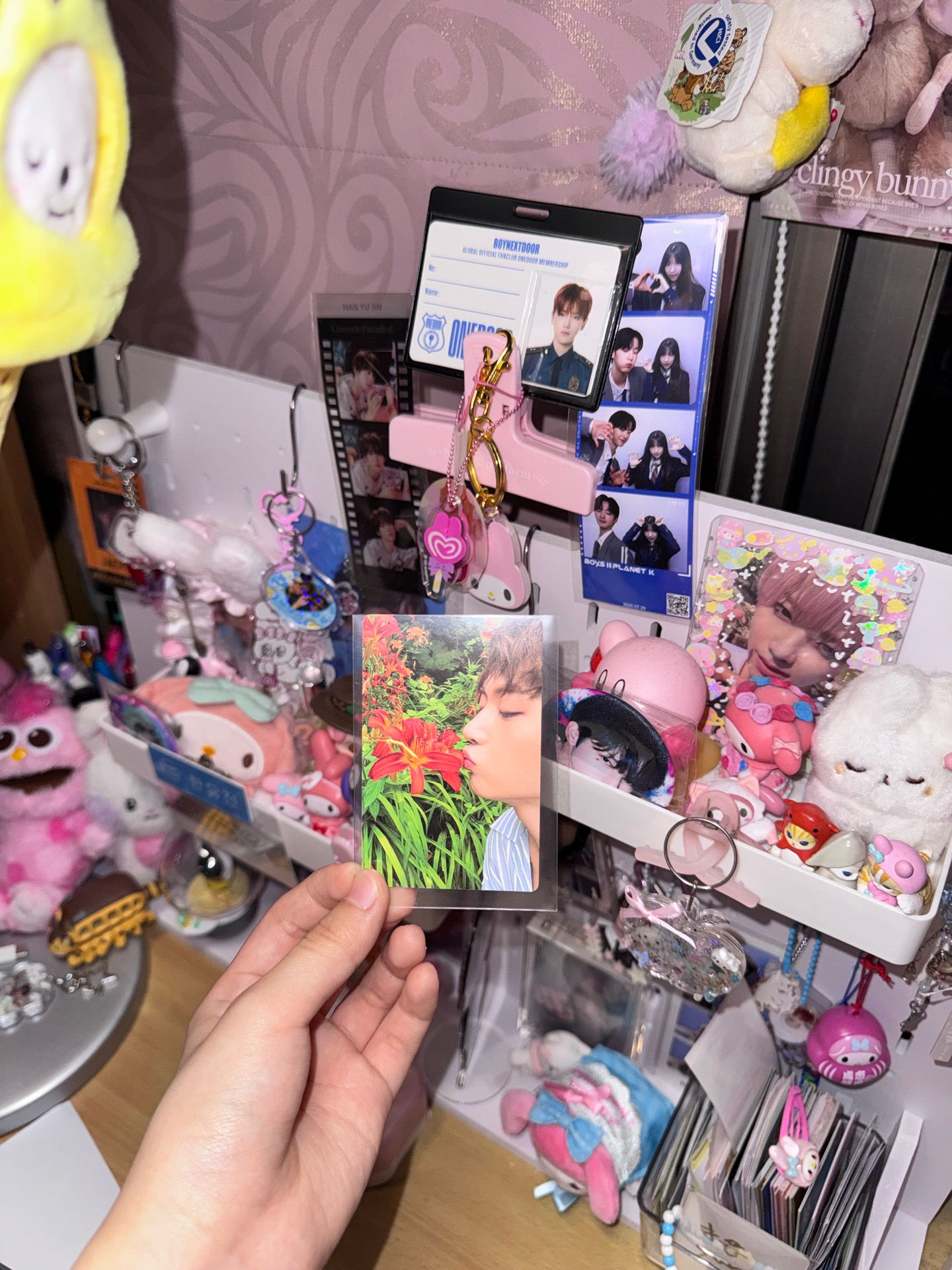 石馬修小卡（很多。）