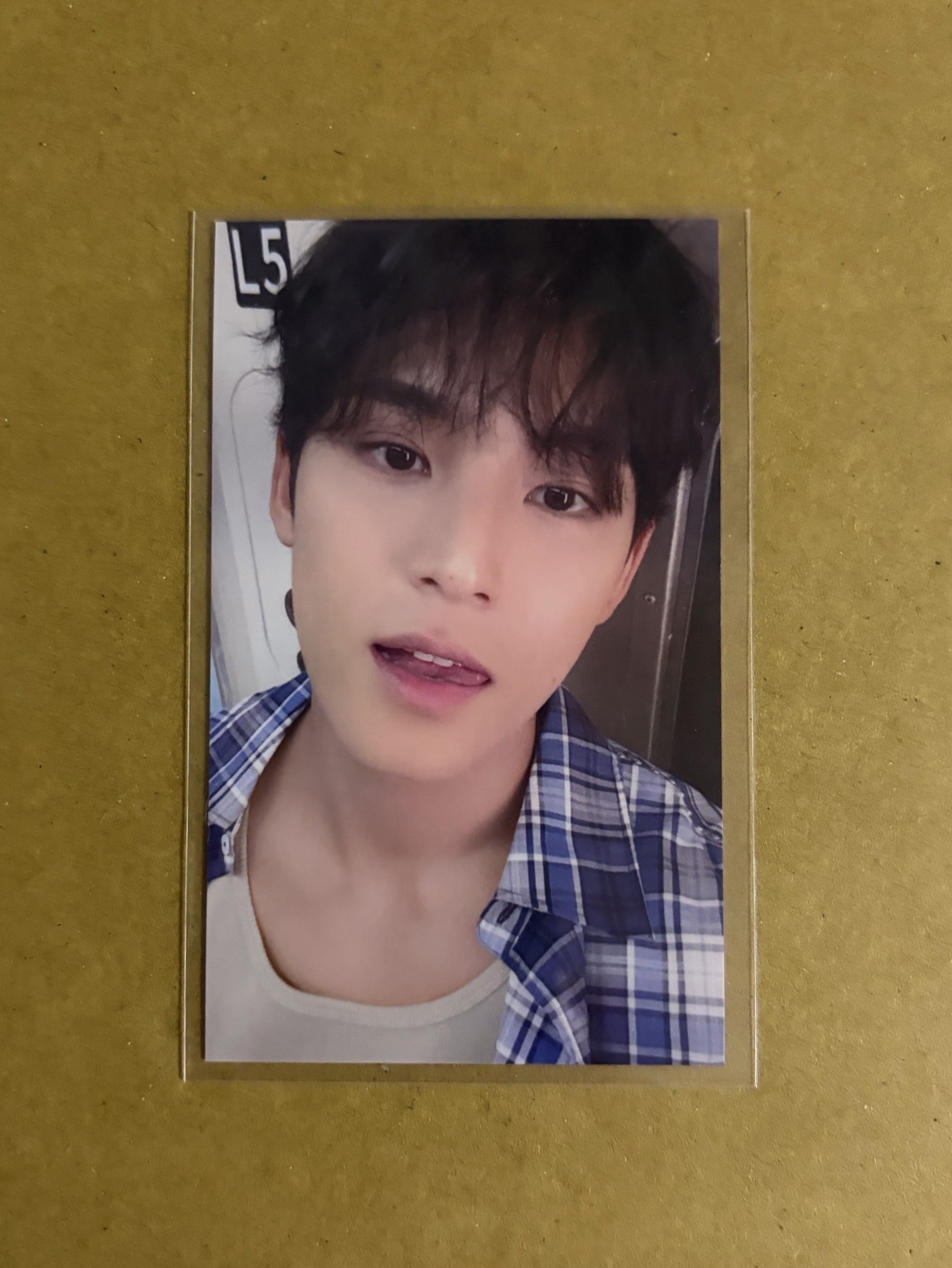 🩵迷十二 奎 環球福岡場限(200)