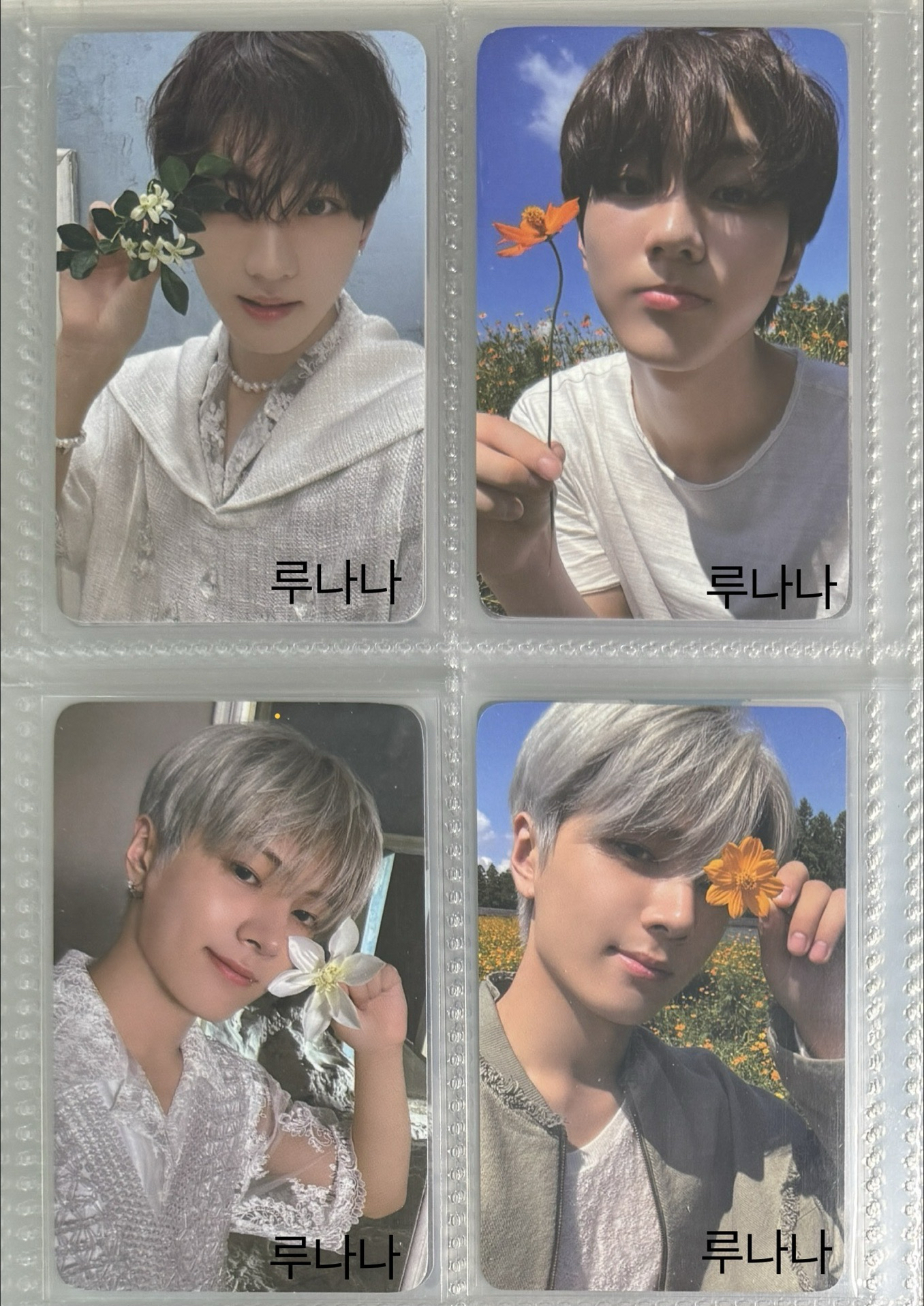 可直拍 橘血打歌/入場卡 禎元 JAY