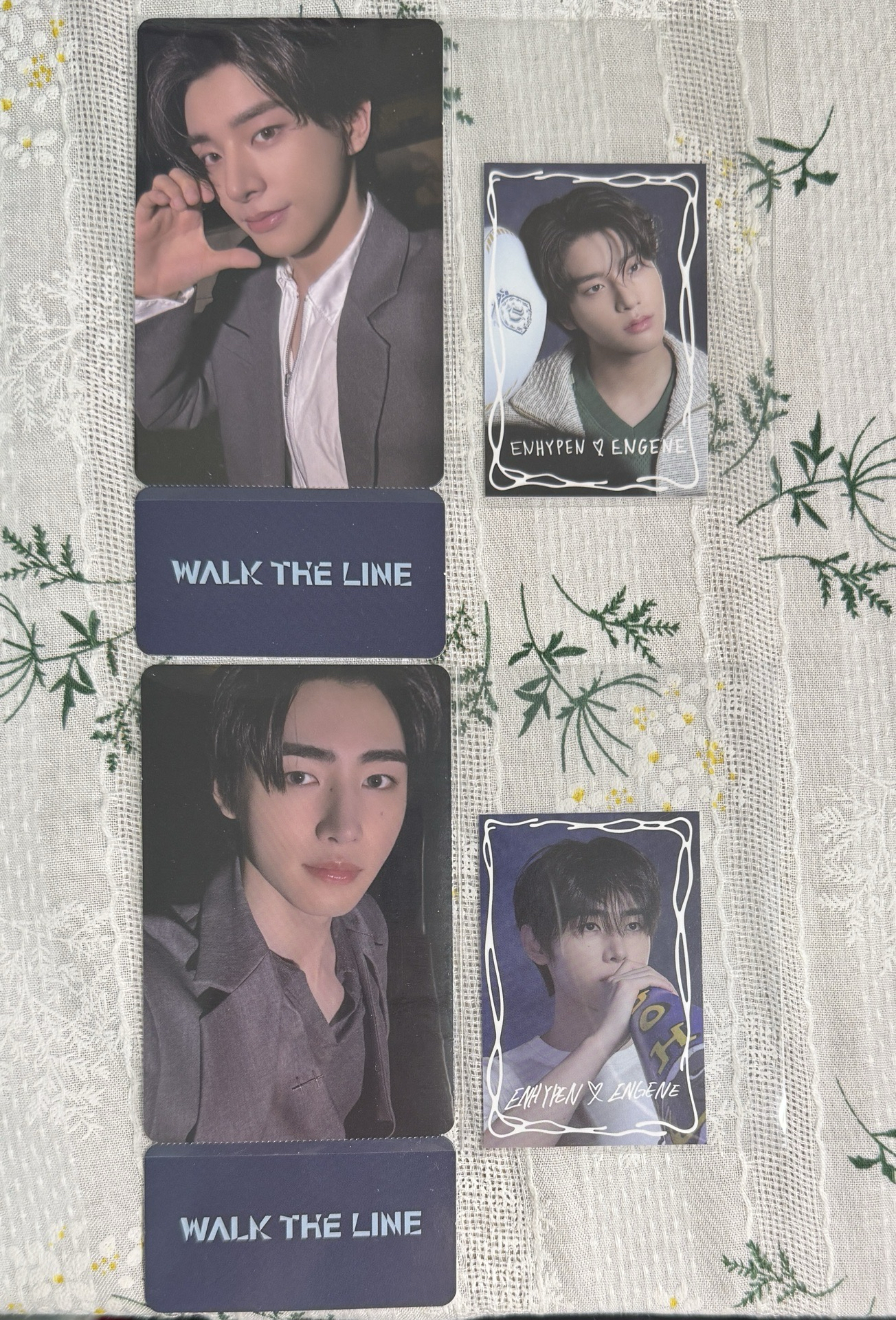 可直拍 高陽場倫 訓 wvs特典/DVD小卡