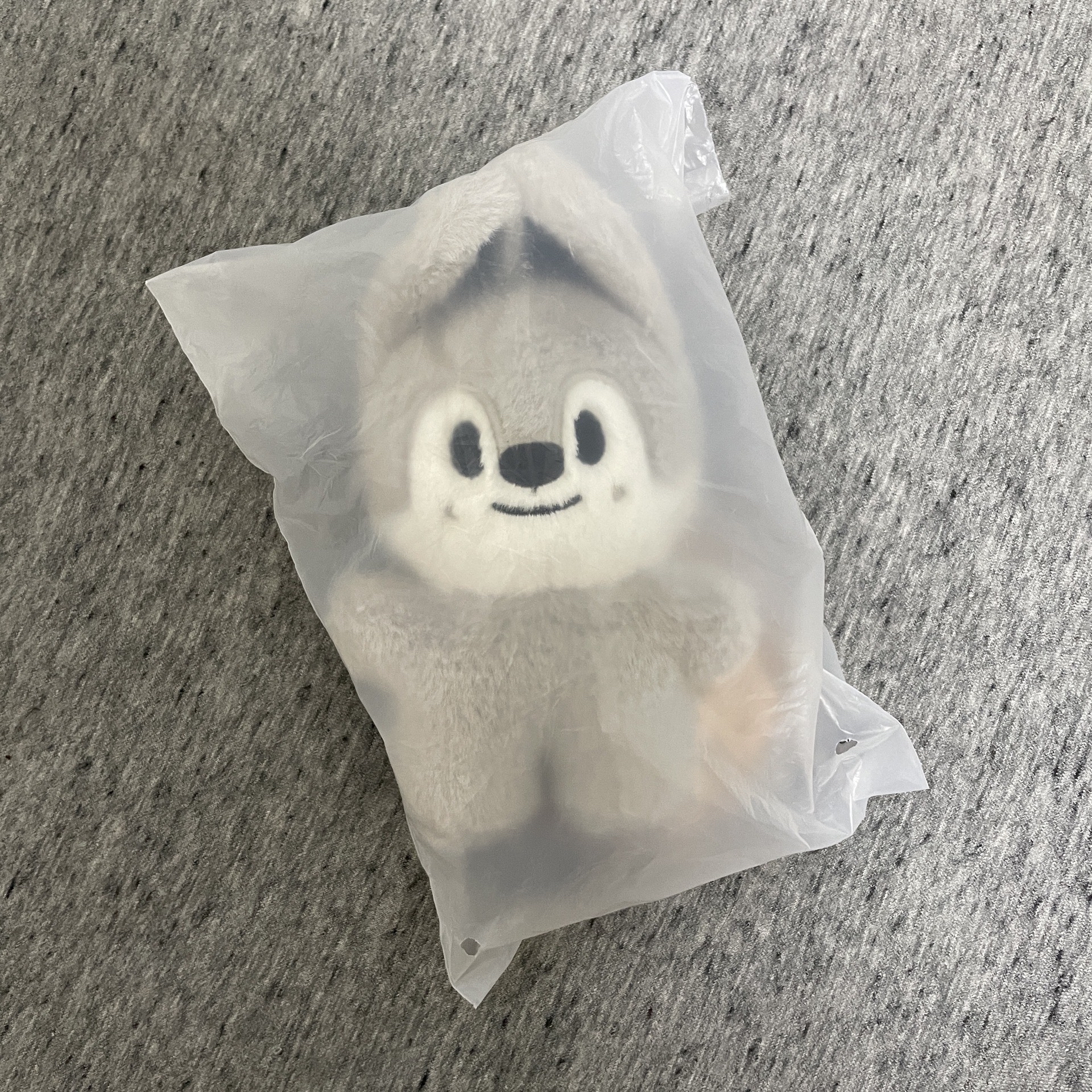 娃類周邊（燦居多）