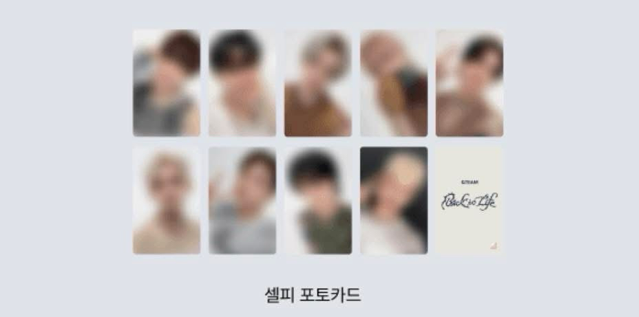 🐺 wvs 2.0 簽售卡