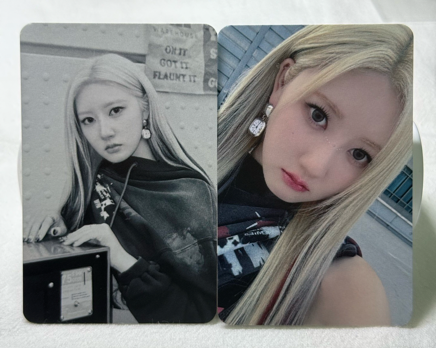 一期會員禮 WVS抽選卡