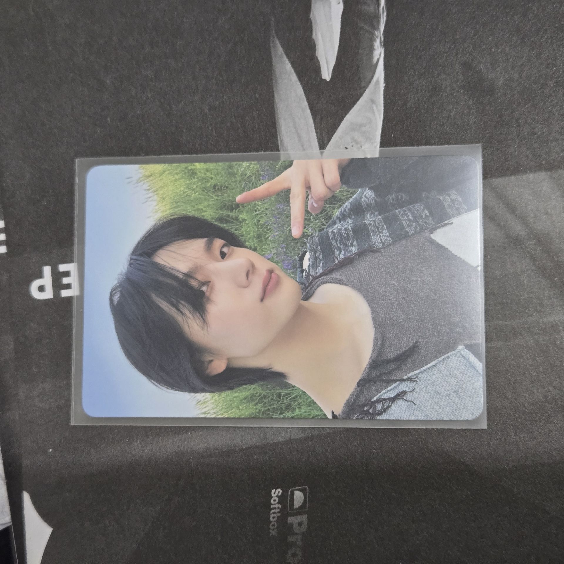 🌟Why..星光卡 成淏 Sungho 