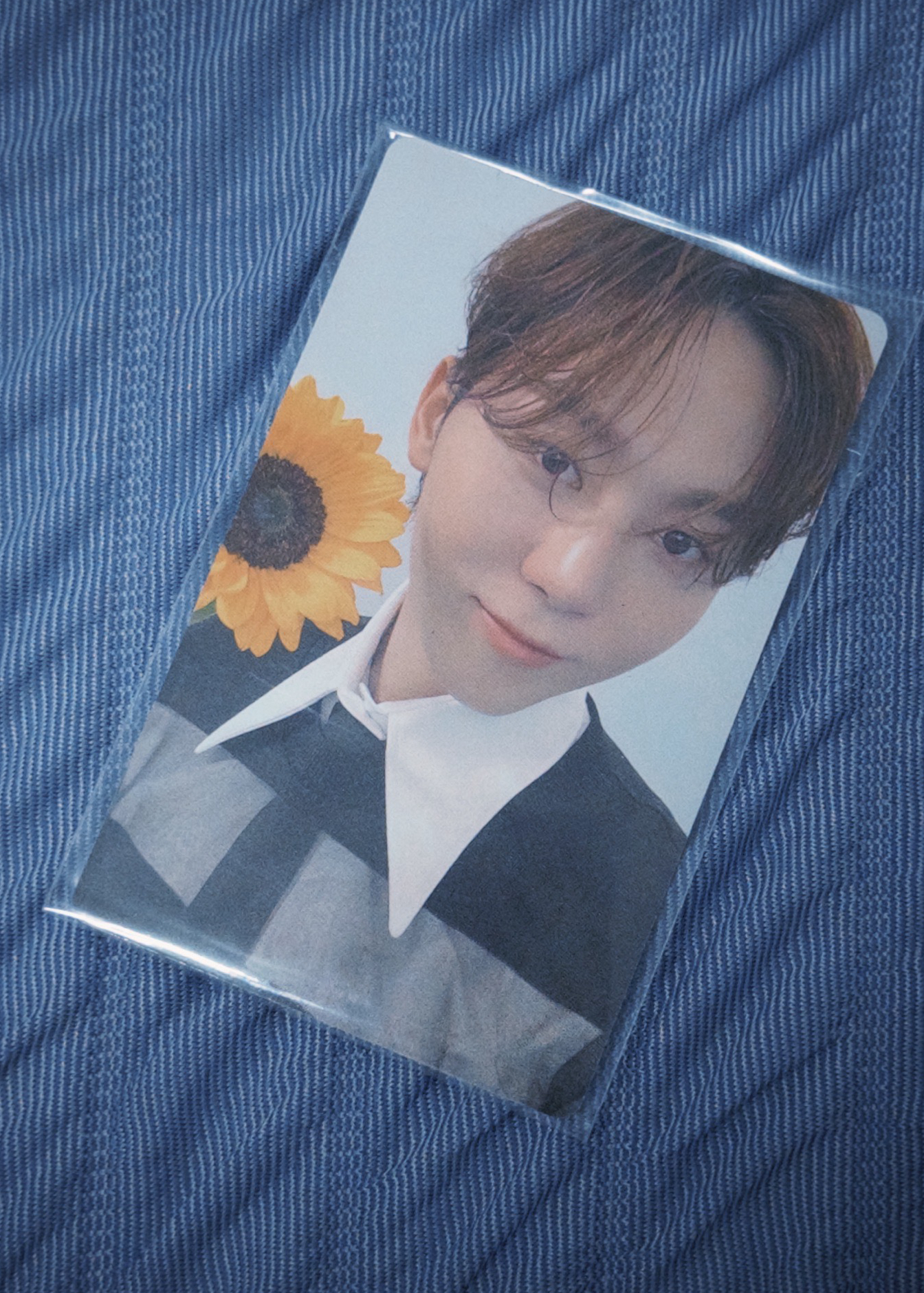 17 is right here寛特典