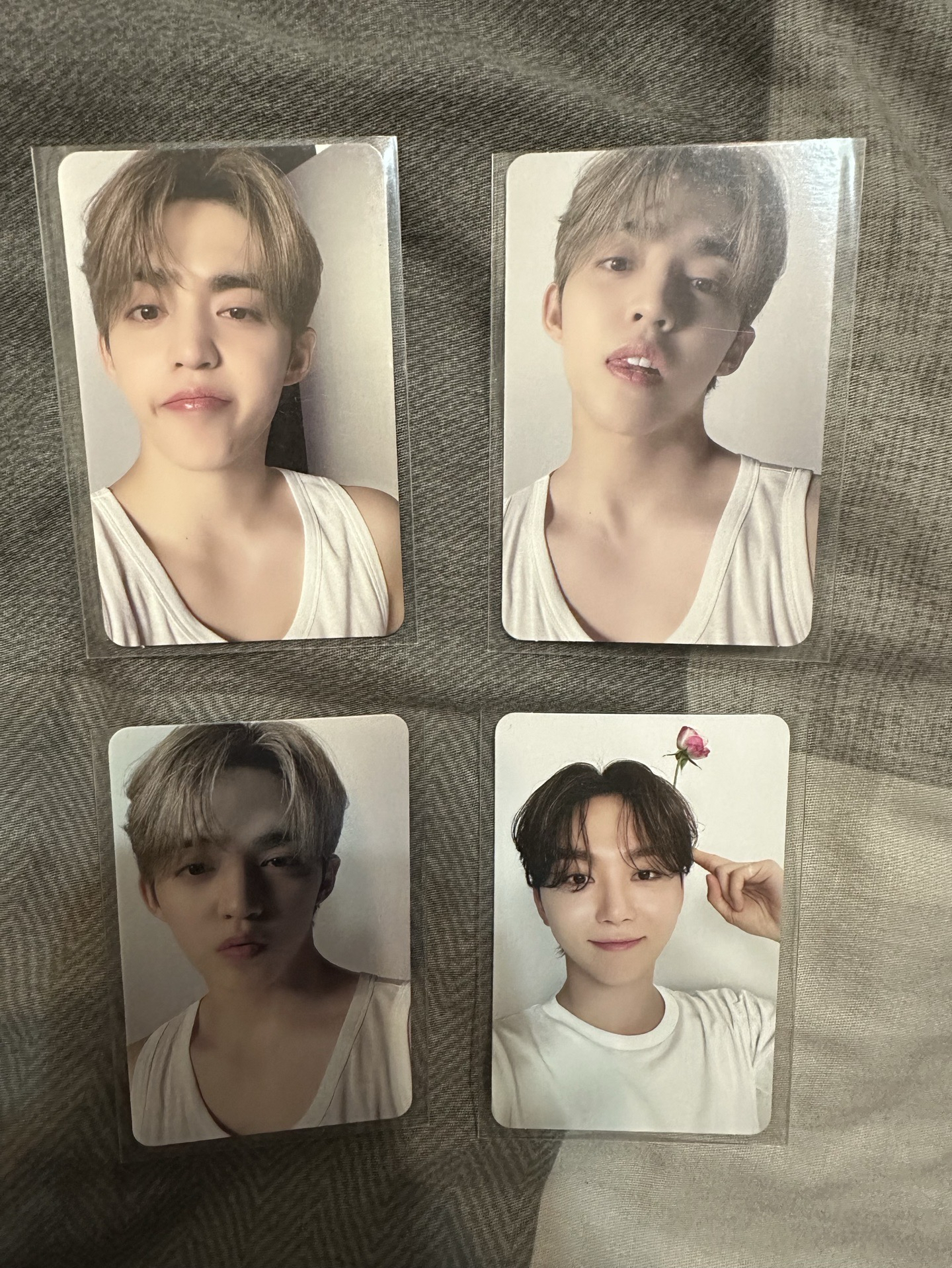  SEVENTEEN Dino 親愛盤全專