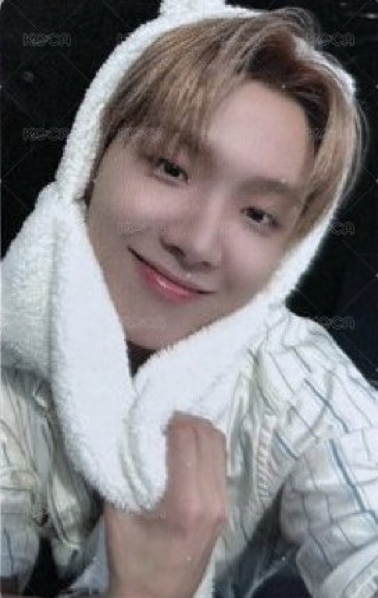 The Action kkt 特典卡 雲鶴