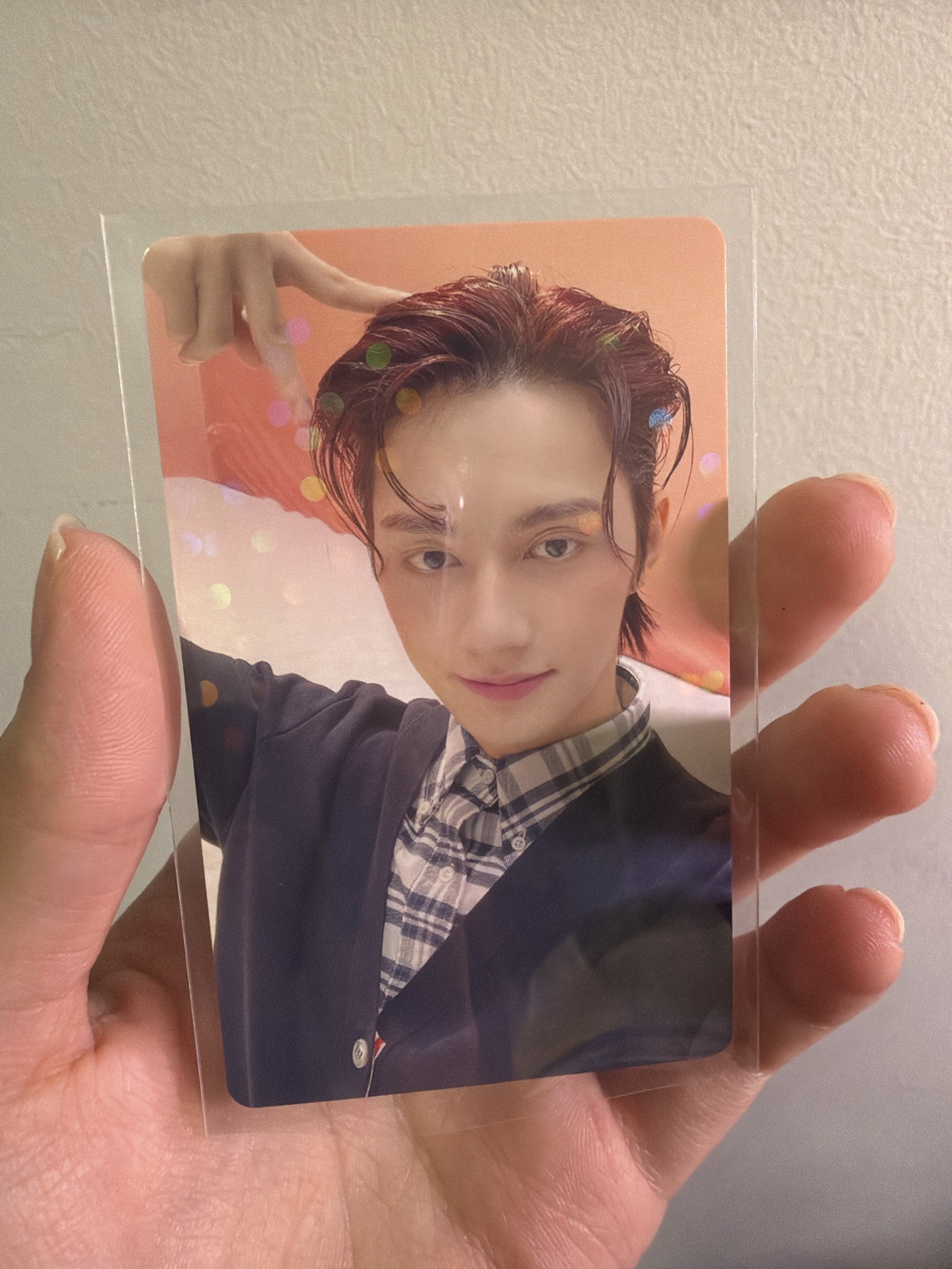 精選專日咖 pb 特典 閃亮亮小貓俊