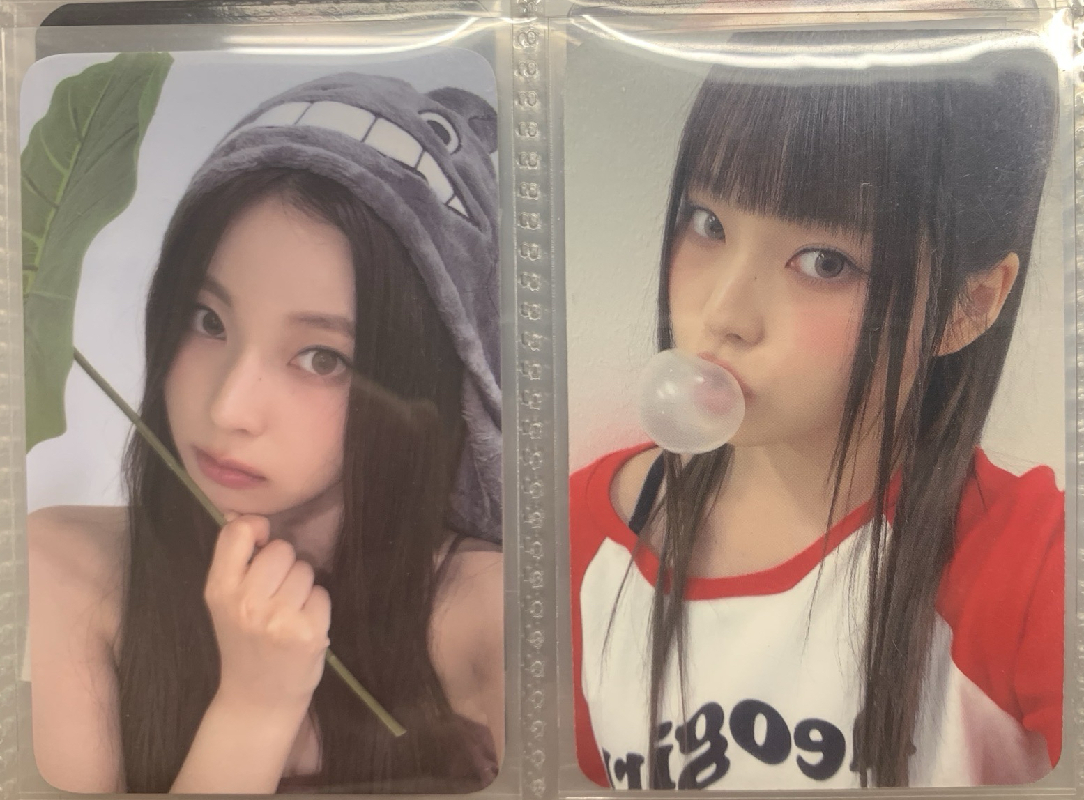 龍貓圭 泡泡糖圭