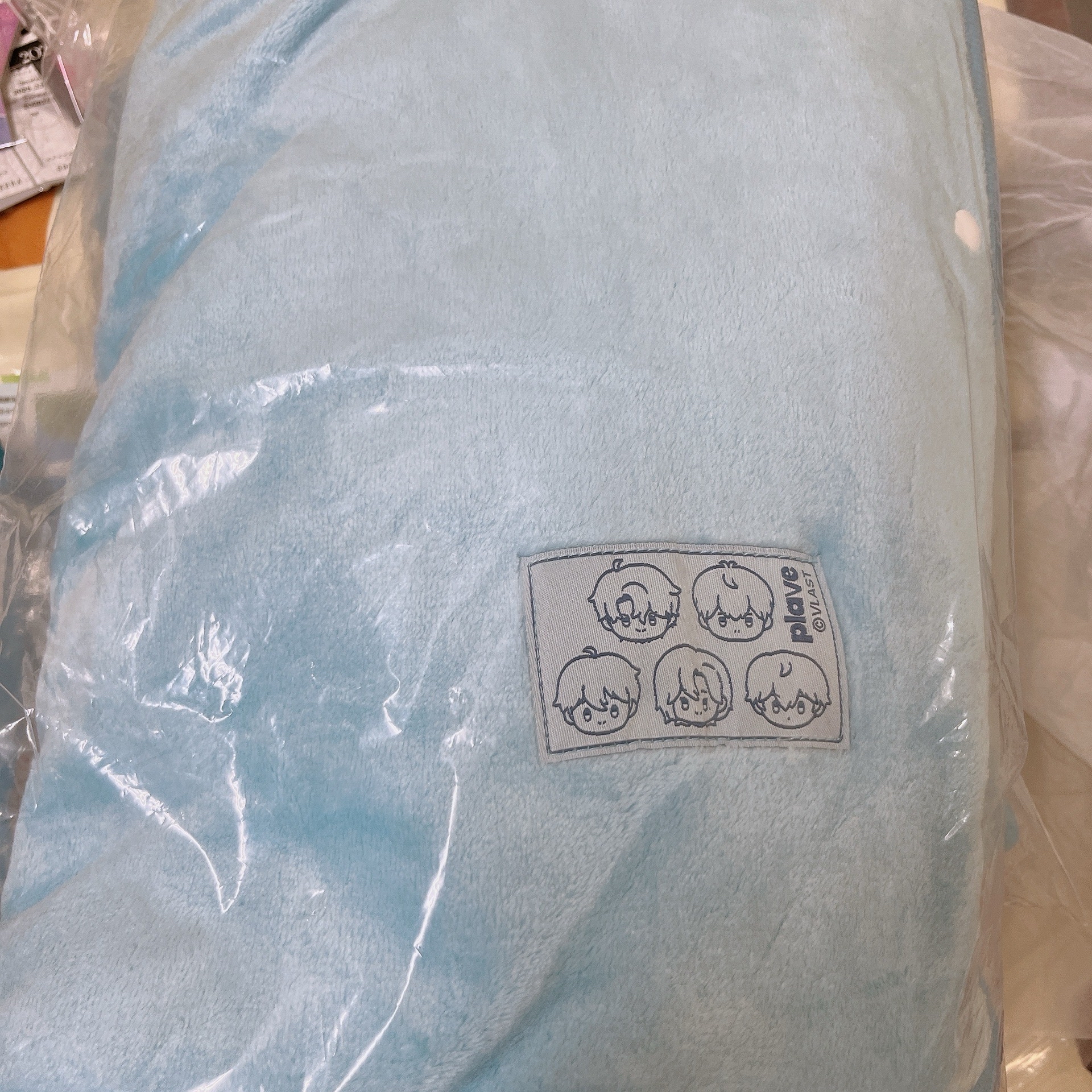 Plave 首爾安可場 毯子