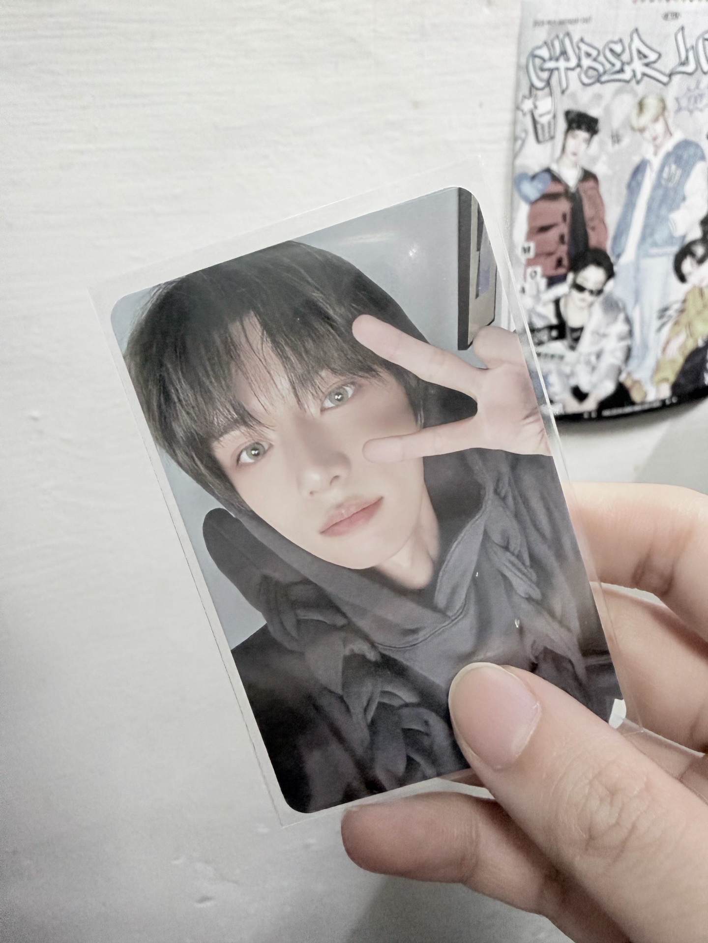 迷六 專輯卡 wvs專卡B版 圭