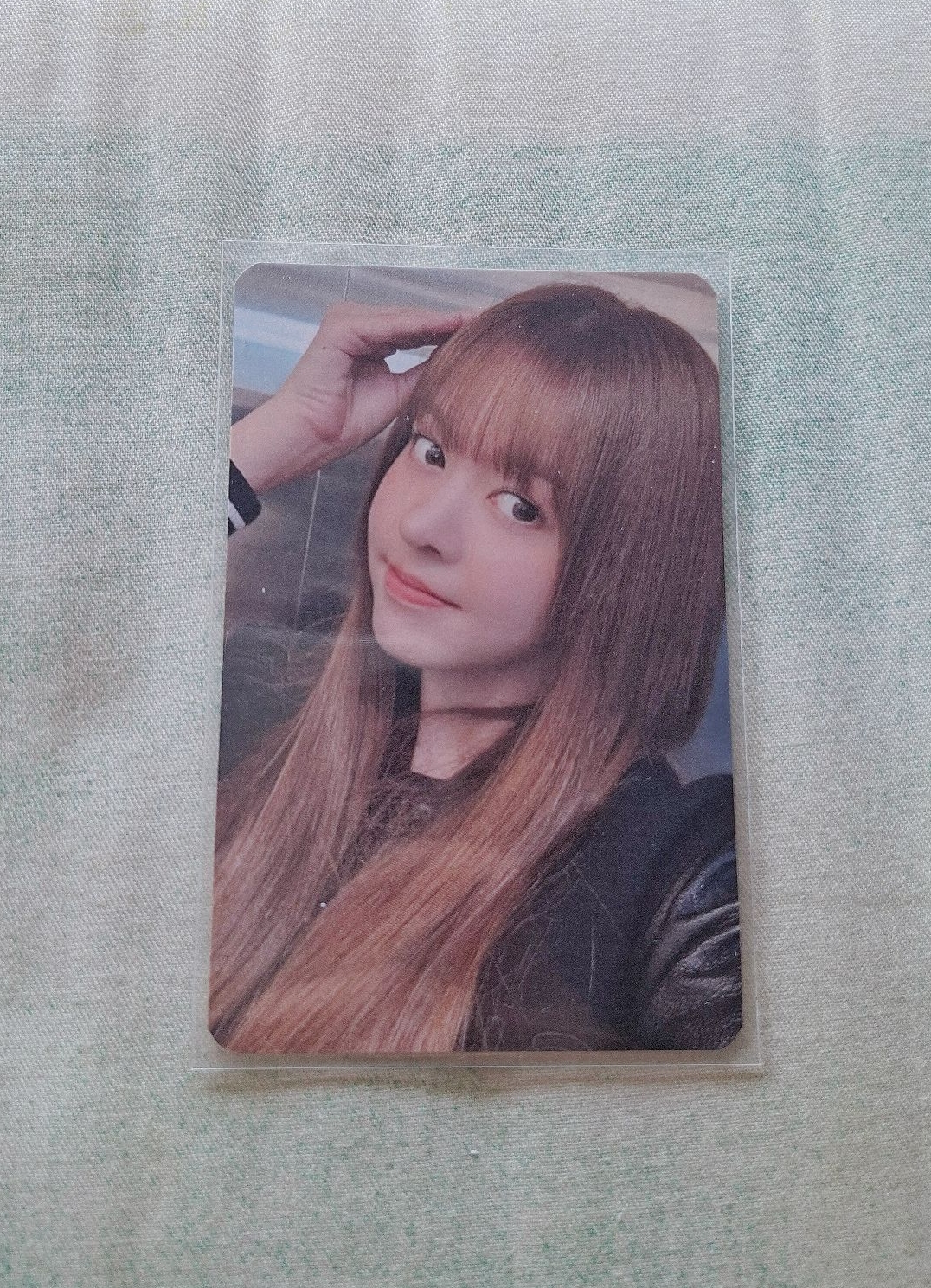 狗耳莉 鬆餅耳莉