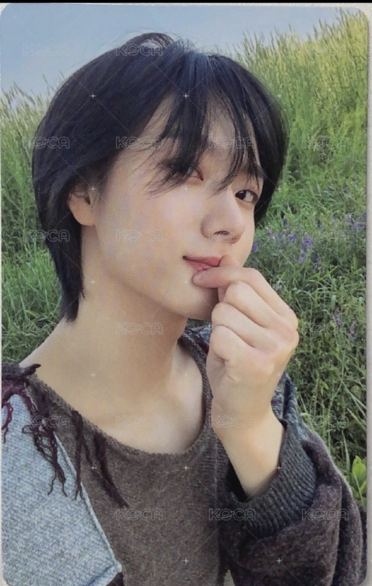 WHY.. 專輯卡 Moody ver. 成淏