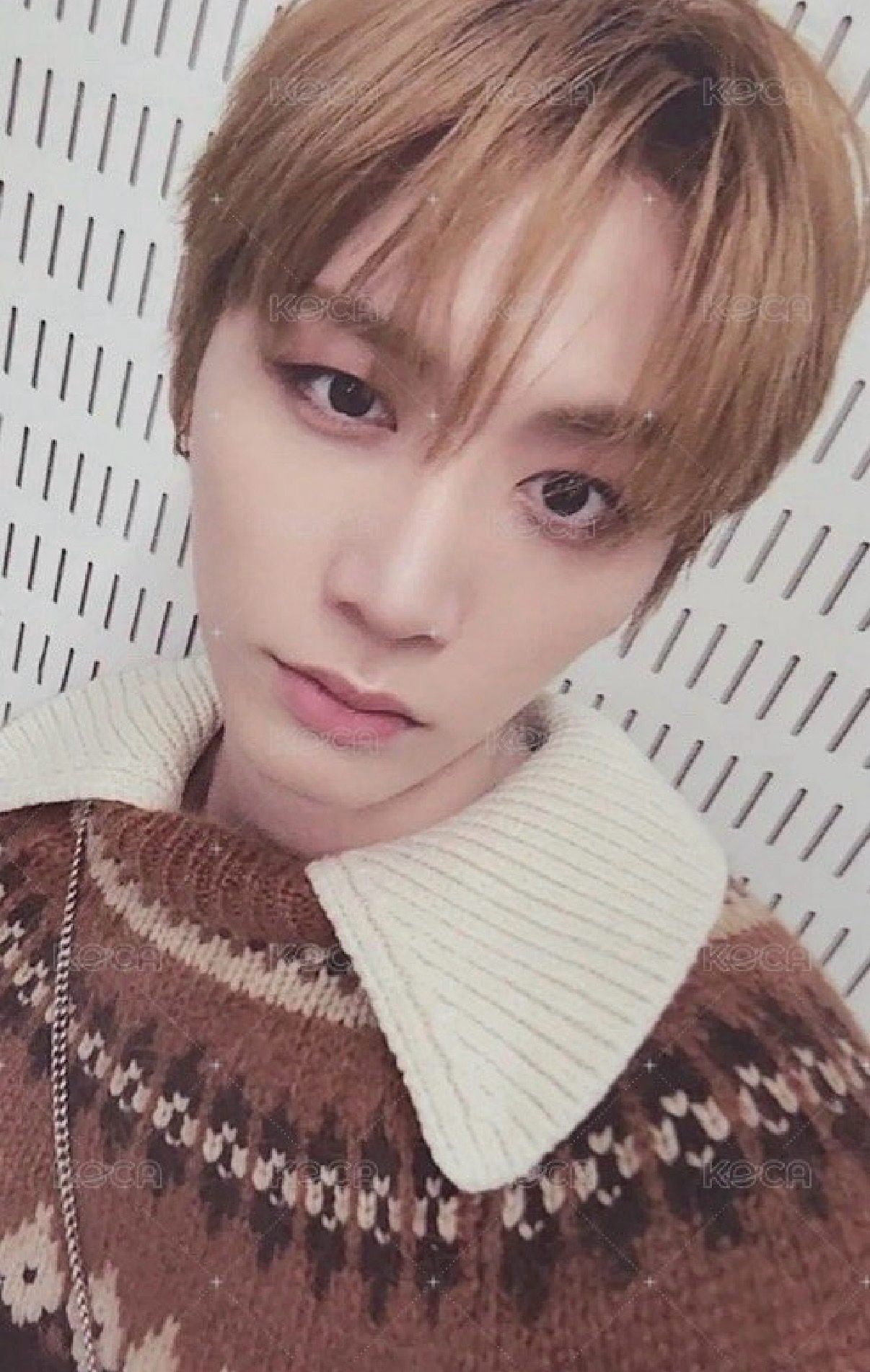 No Genre wvs 單封 特典卡 泰山