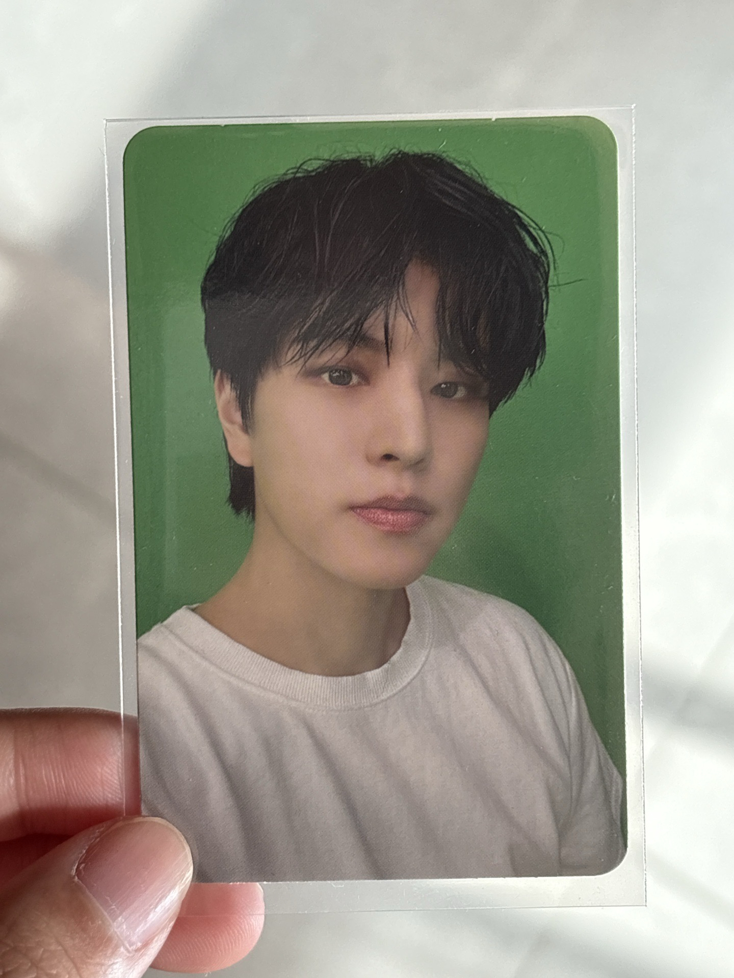 ATE 專輯卡 Accordion ver.