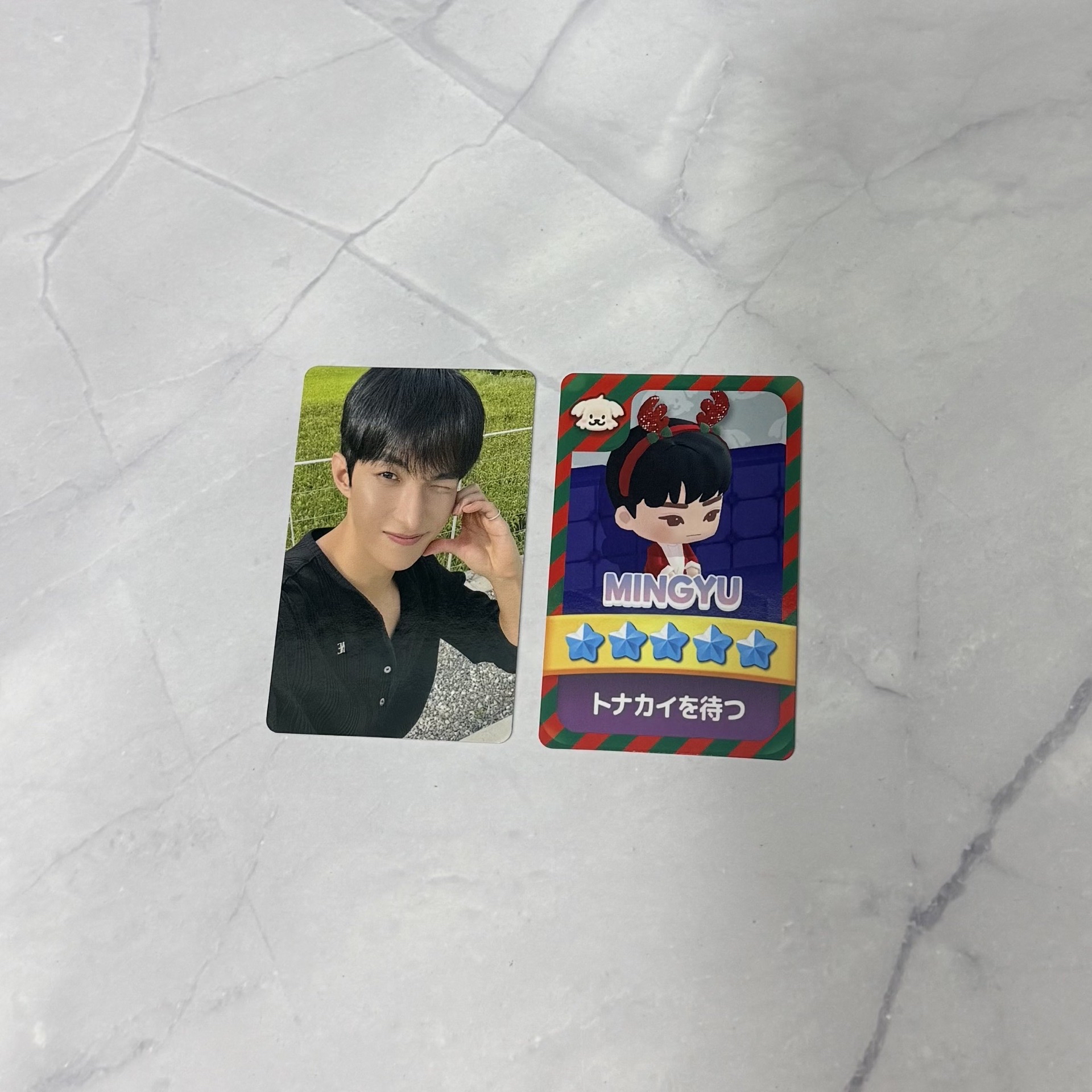 NEW_ IN JAPAN 續會卡