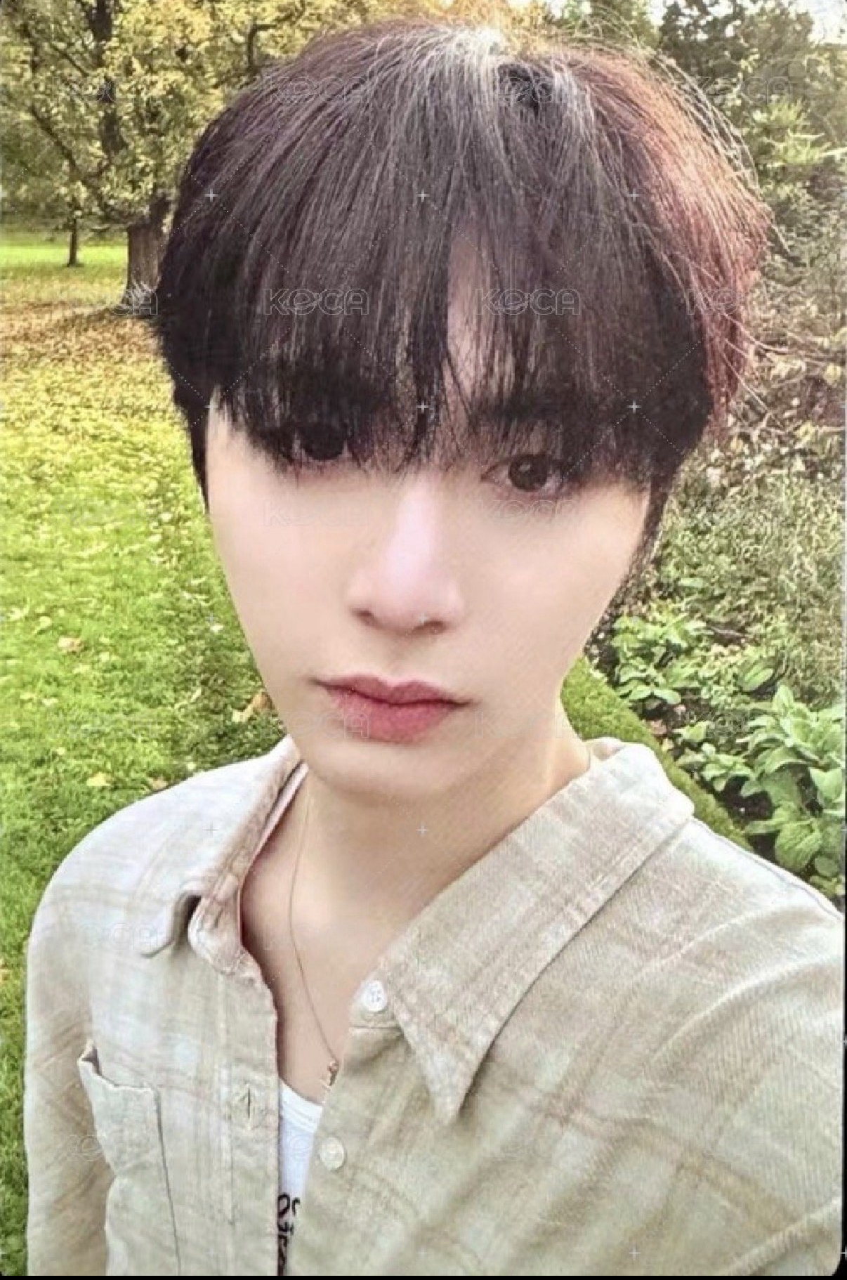 HOW? 專輯卡 Wind ver.