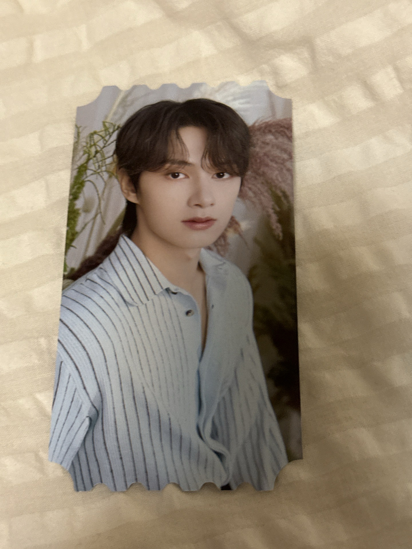 2024 SEVENTEEN CAFE 入場特典