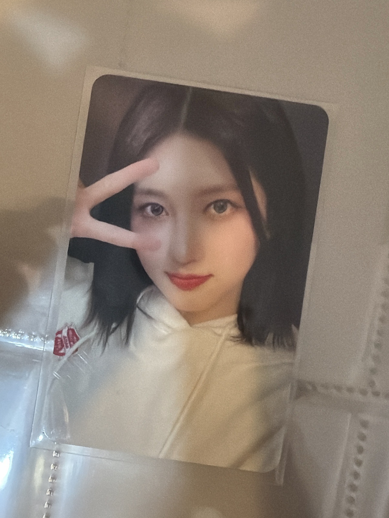 FC演唱會固配秋天