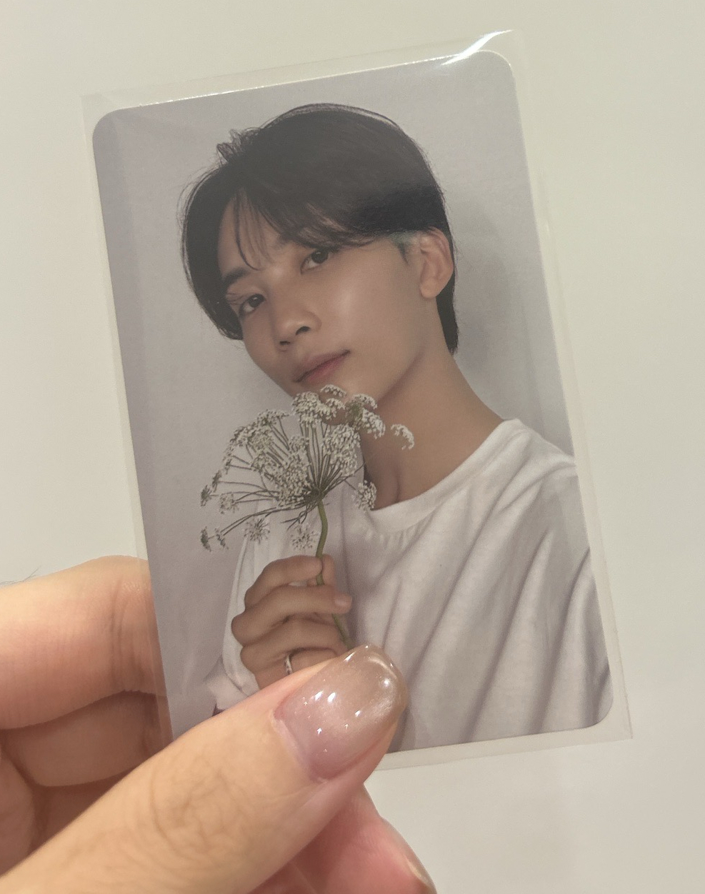 💚6）精選專 Carat ver. 隨機卡