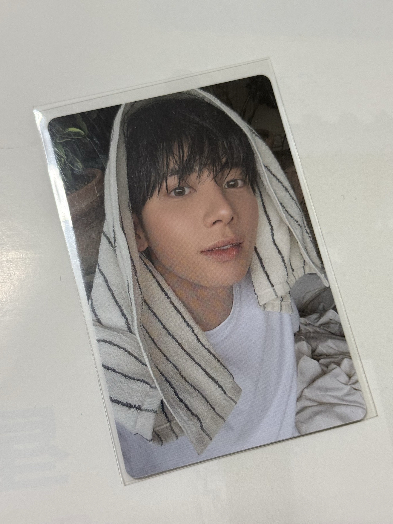 迷七 專輯卡 單封 Angel版 太顯