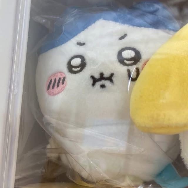 官網 吊娃 氣哺哺小八