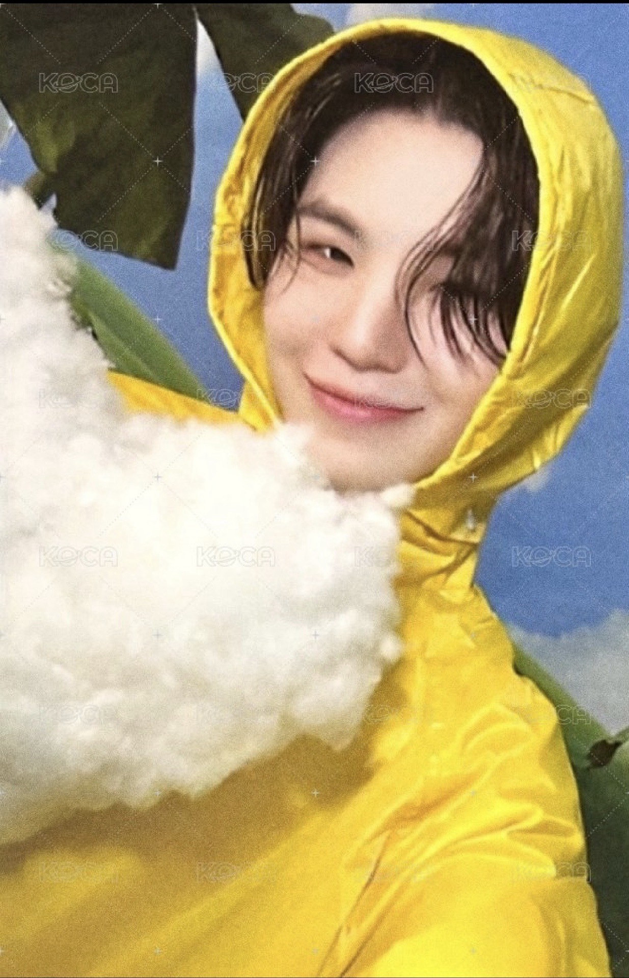 MINI11 專輯卡 ｜CARAT ver.