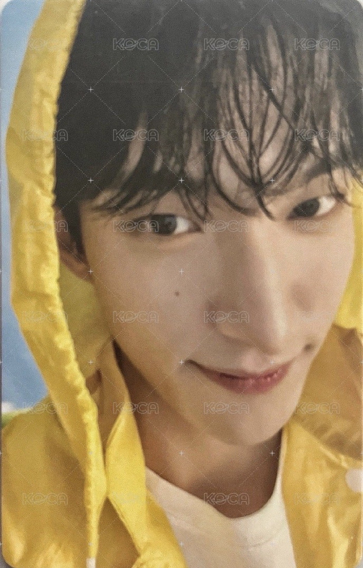 MINI11 專輯卡 ｜CARAT ver.