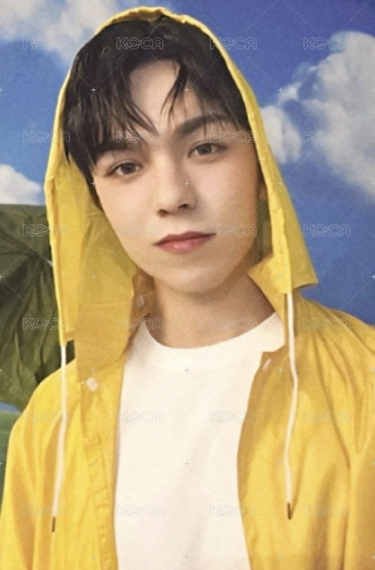 MINI11 專輯卡 ｜CARAT ver.