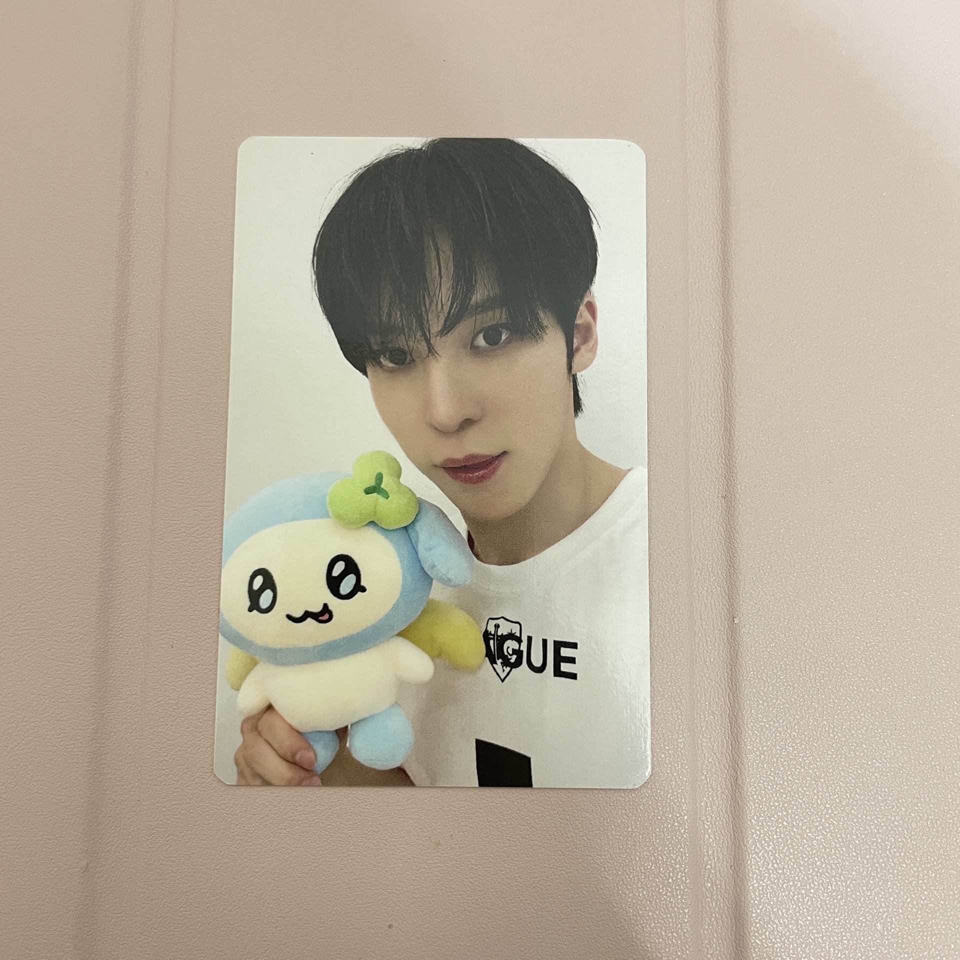 隨機卡包 潤 娃娃